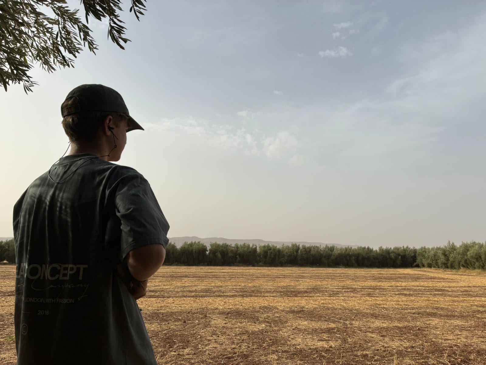 Le regard tourné vers la chasse à la tourterelle au Maroc