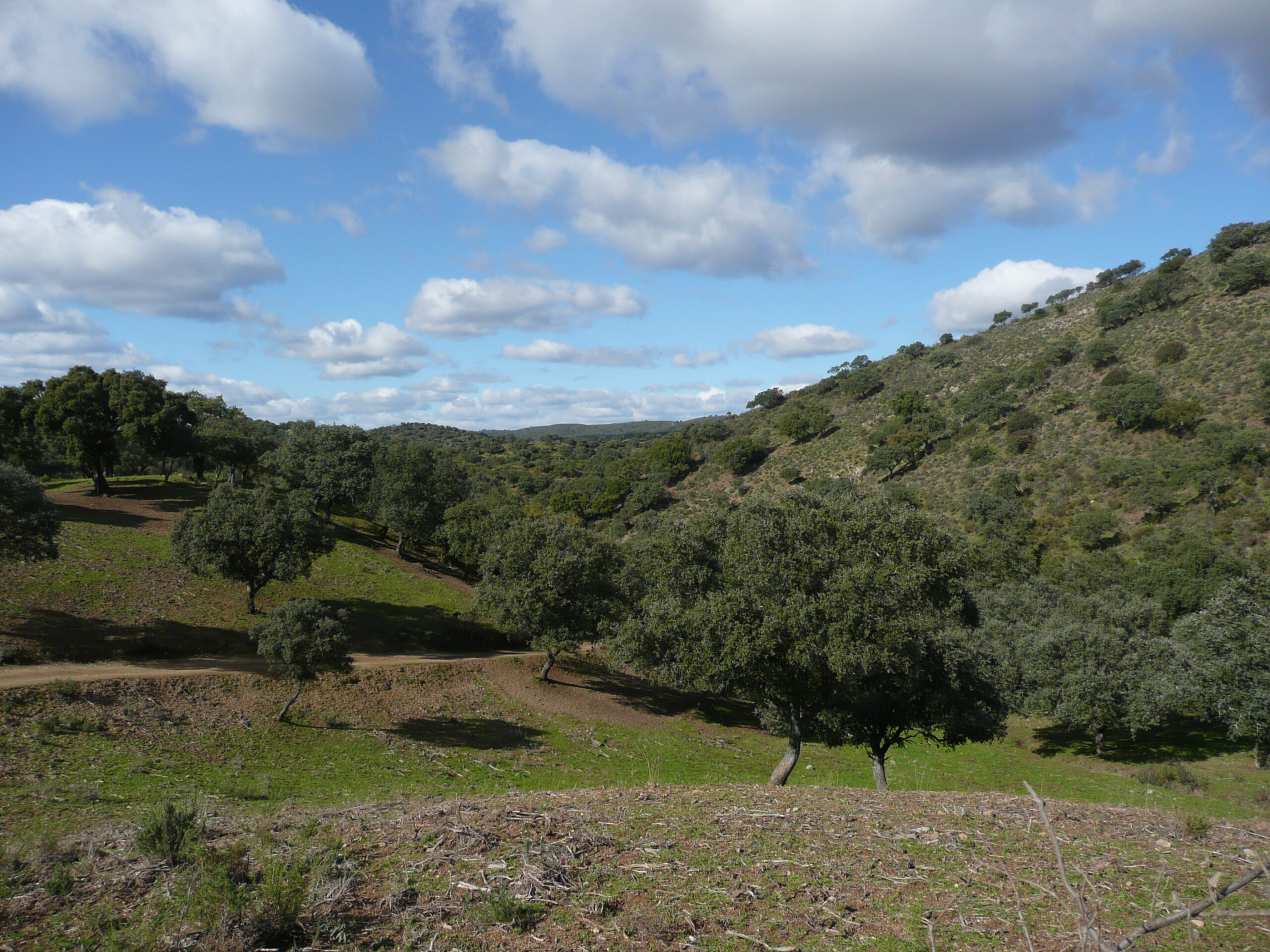 Biotope monteria Espagne