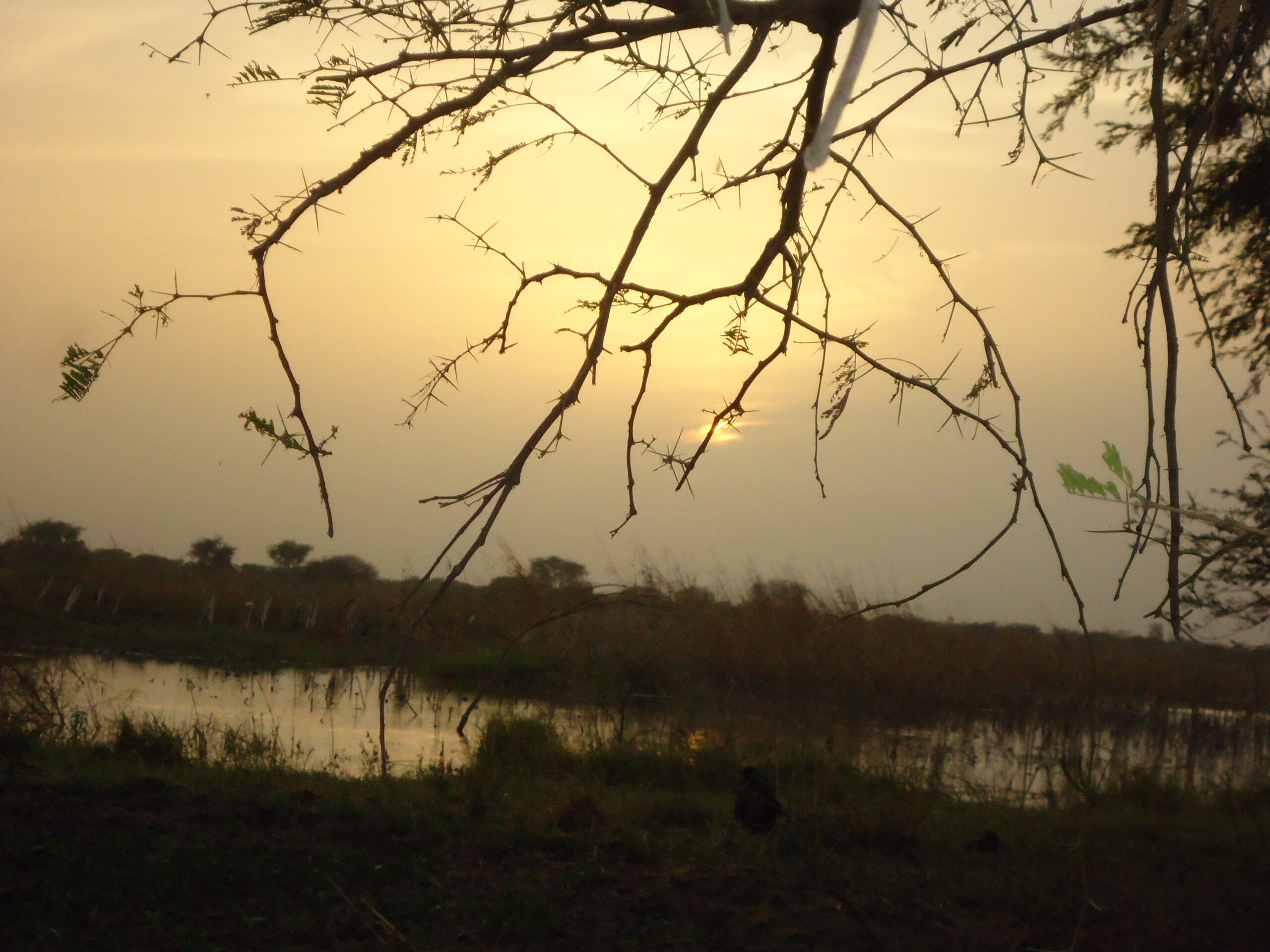 Coucher de soleil au Tchad