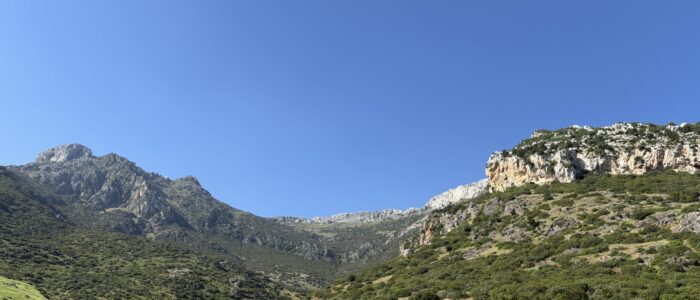 IMG_8045