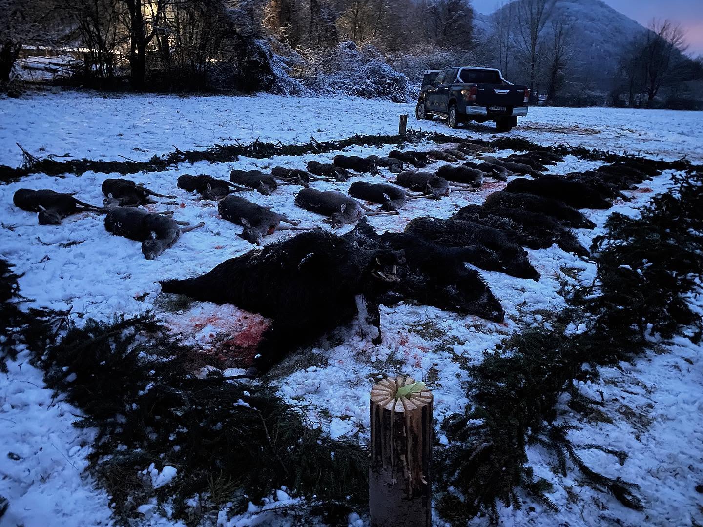 Présentation du tableau de chasse en Slovaquie