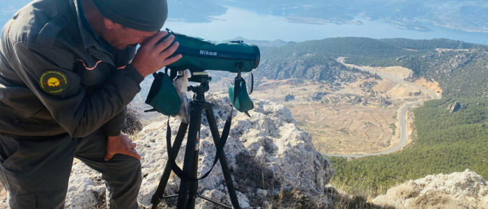 bezoar-ibex-hunt32