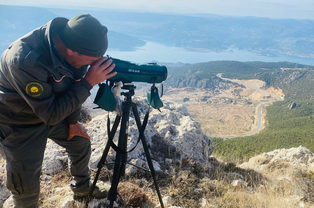Obesvation d'ibex bezoard en Turquie