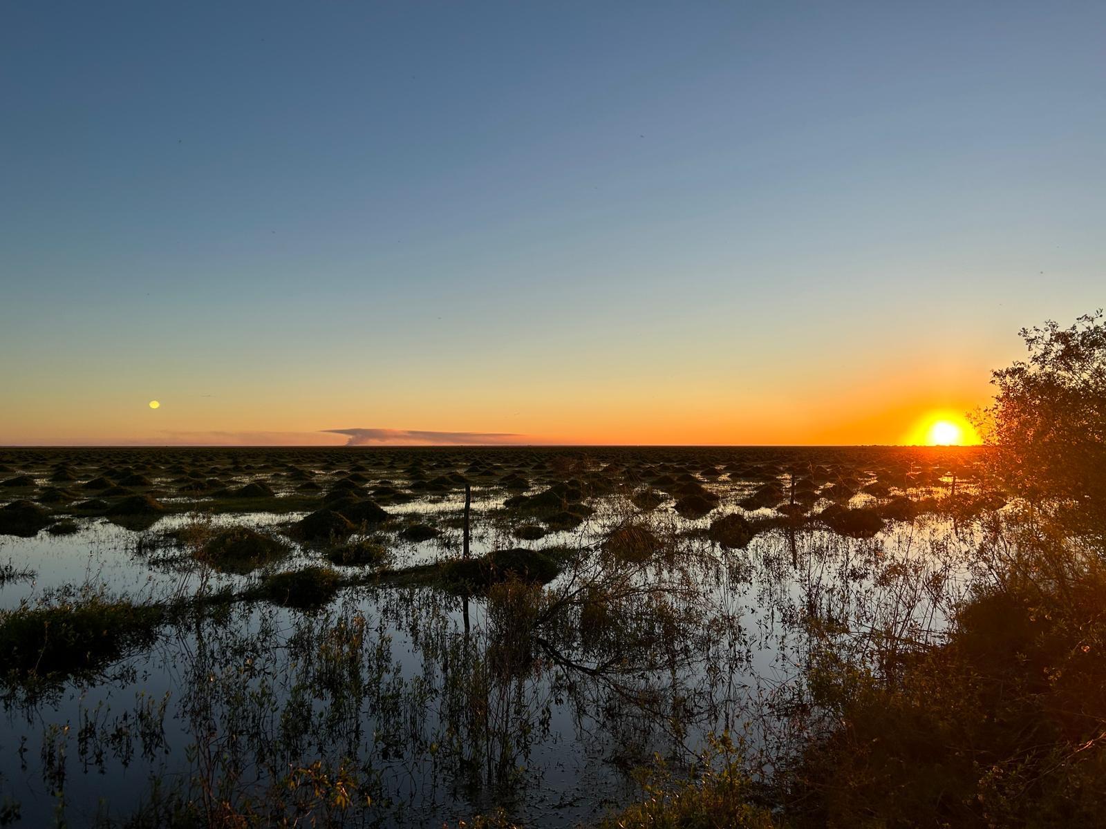 Coucher de soleil dans la pampa