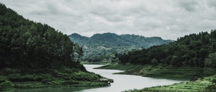 green-grass-field-and-mountain-1034887