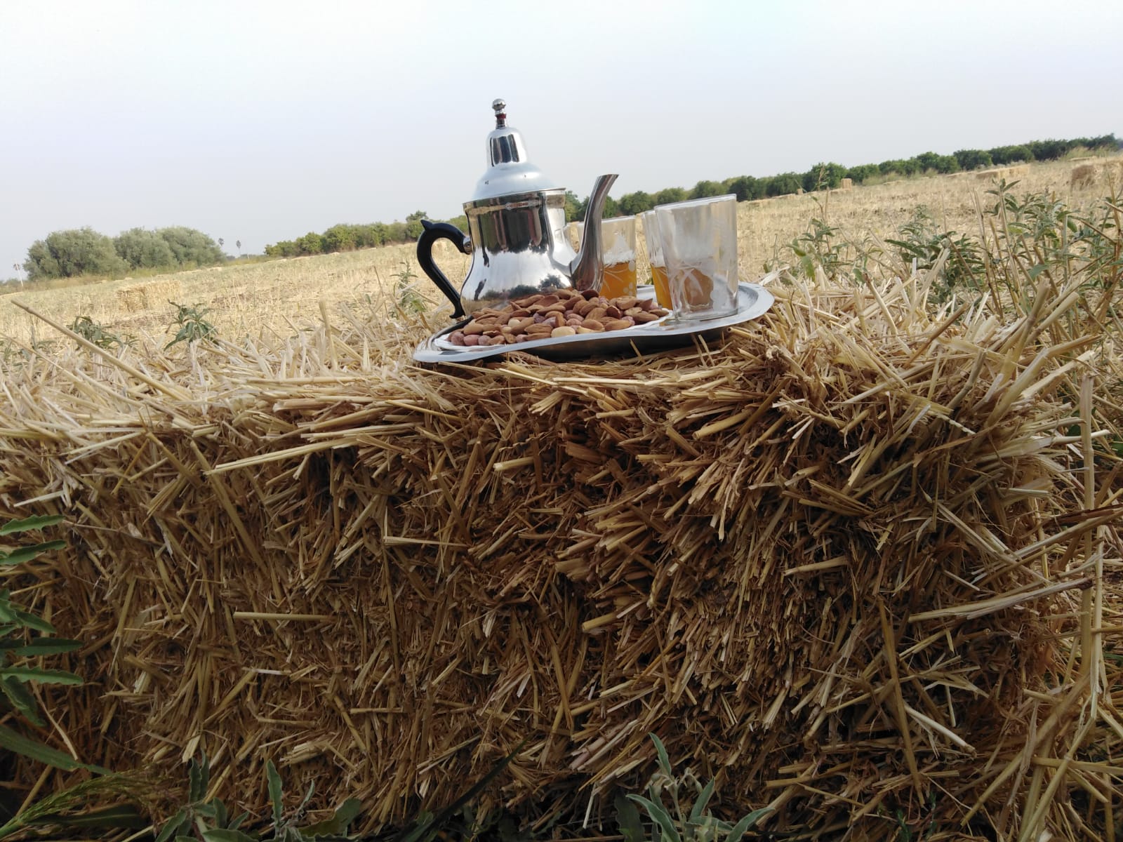 Pause bien méritée à la chasse au Maroc